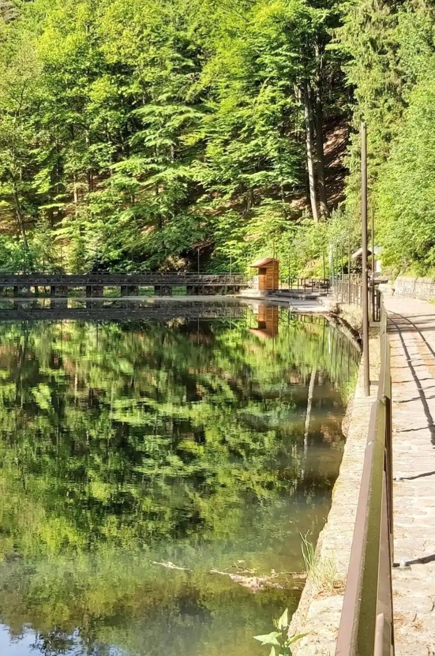 Cosis Ferienwohnung Hohnstein Esterno foto